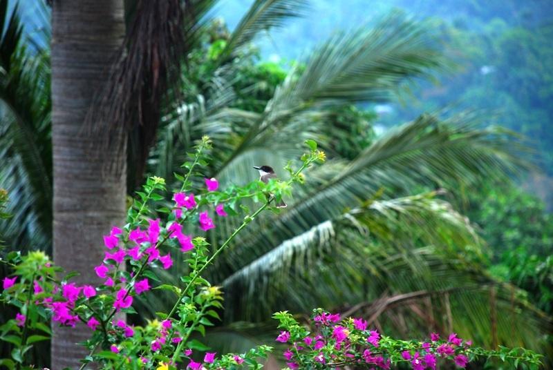 Tranquility Villa ปอร์ตอันโตนิโอ ภายนอก รูปภาพ